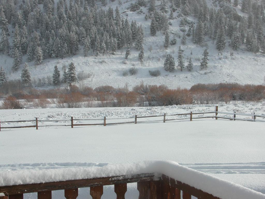 Montana Spirit Guest Lodge Cliff Lake Oda fotoğraf